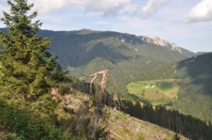 GORA PECA IN NJENO KRALJESTVO